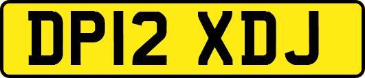 DP12XDJ