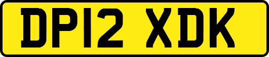 DP12XDK