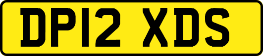 DP12XDS