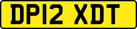 DP12XDT