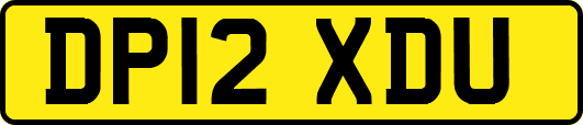 DP12XDU
