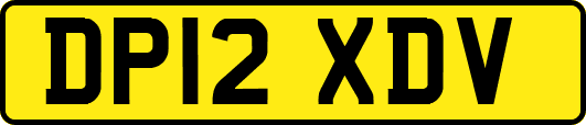 DP12XDV