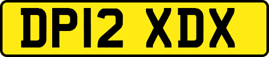 DP12XDX