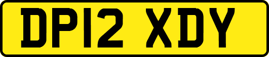 DP12XDY
