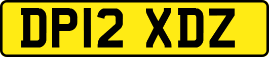 DP12XDZ