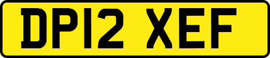 DP12XEF