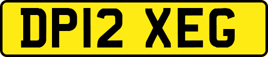 DP12XEG