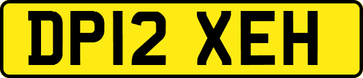 DP12XEH