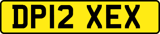 DP12XEX