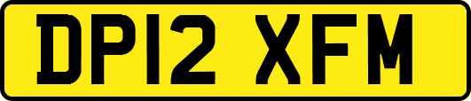 DP12XFM