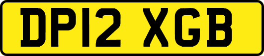 DP12XGB