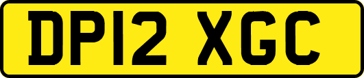DP12XGC