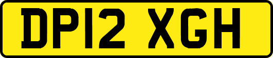 DP12XGH