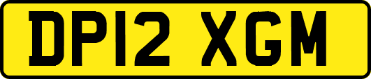 DP12XGM