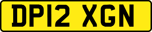 DP12XGN