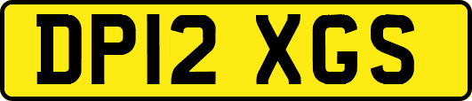 DP12XGS