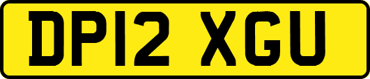 DP12XGU