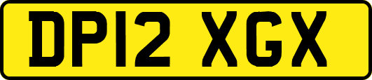 DP12XGX