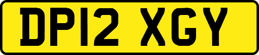 DP12XGY