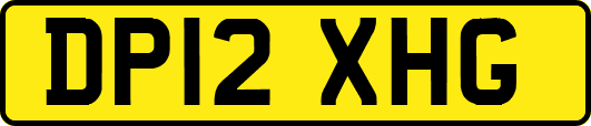 DP12XHG