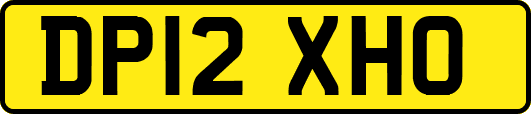 DP12XHO
