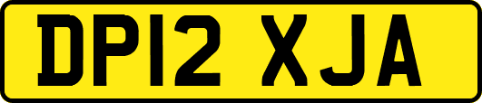 DP12XJA