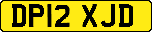 DP12XJD