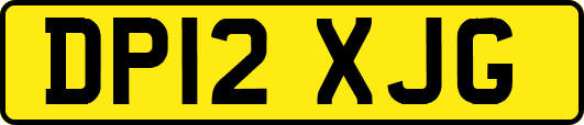 DP12XJG