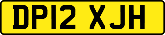 DP12XJH