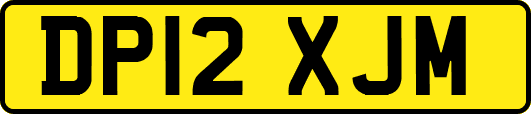 DP12XJM
