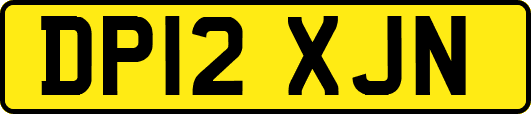 DP12XJN