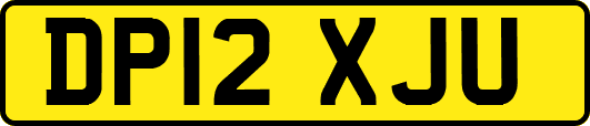 DP12XJU