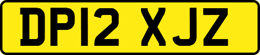 DP12XJZ
