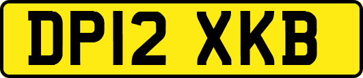 DP12XKB