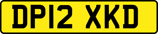 DP12XKD