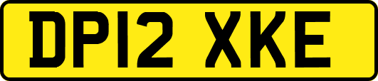 DP12XKE