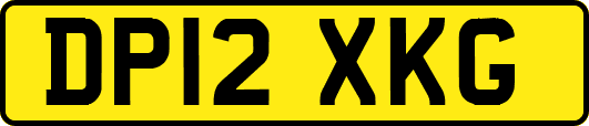 DP12XKG