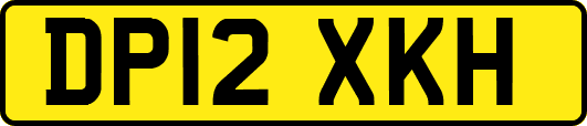 DP12XKH