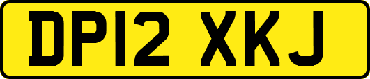 DP12XKJ