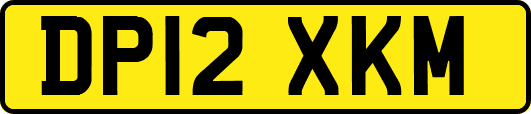 DP12XKM