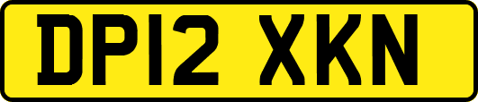 DP12XKN