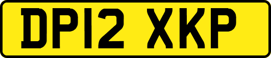 DP12XKP
