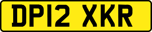 DP12XKR