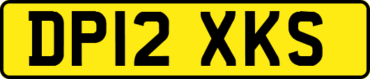 DP12XKS