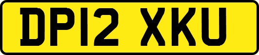 DP12XKU
