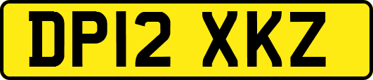 DP12XKZ