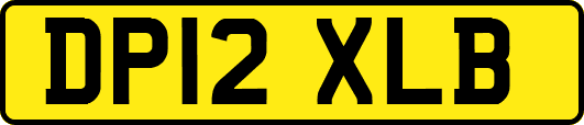 DP12XLB