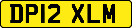 DP12XLM