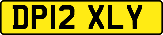 DP12XLY
