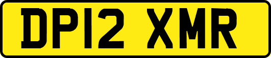 DP12XMR